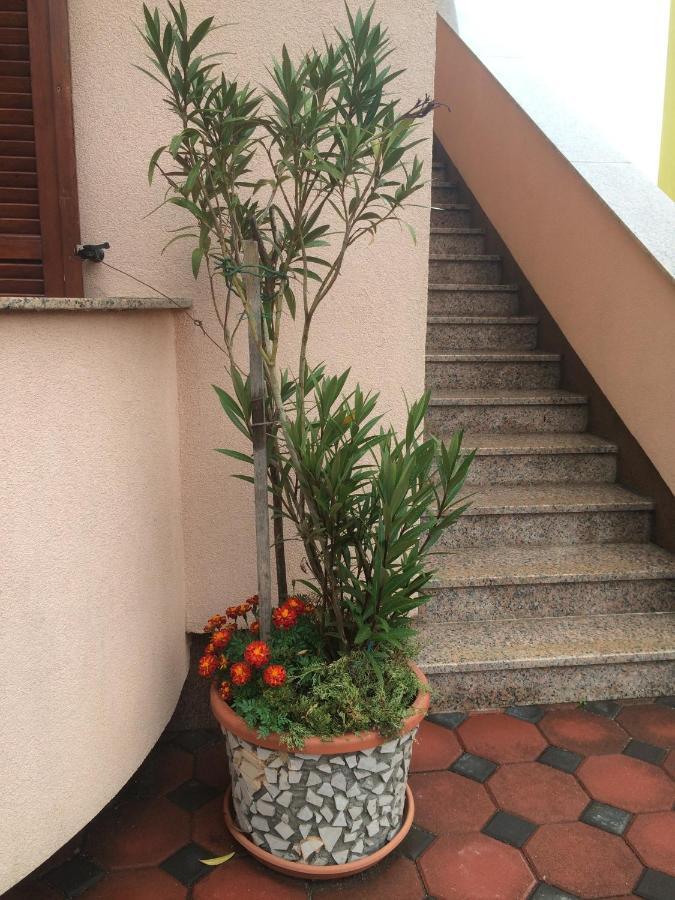Apartmani Stefano لابين المظهر الخارجي الصورة